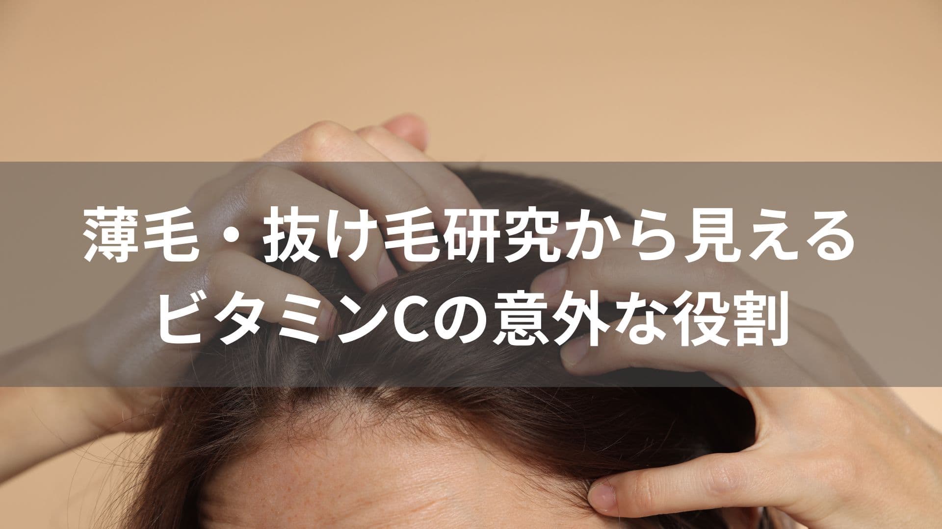 薄毛・抜け毛研究から見えてきた ビタミンCが「若さの接着剤」と考えられる理由