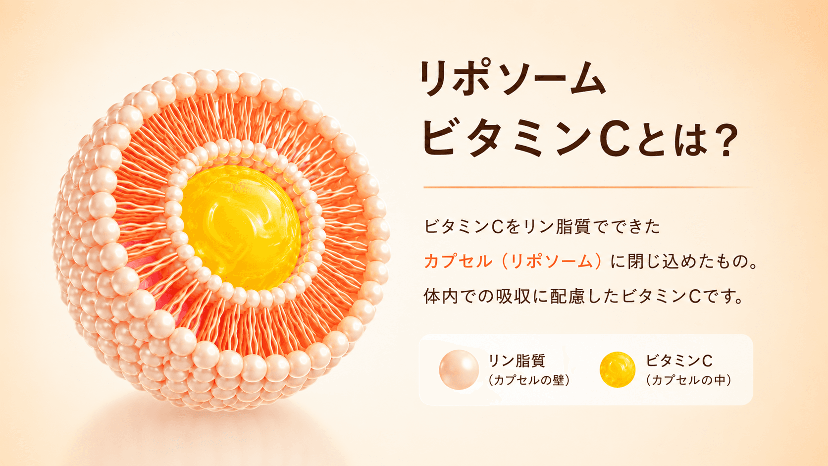 独自のリポソーム技術で吸収率UP